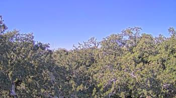 Weather camera view of Metairie Club Gardens.