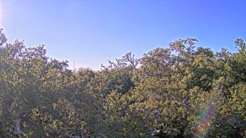 Weather camera view of Metairie Club Gardens.