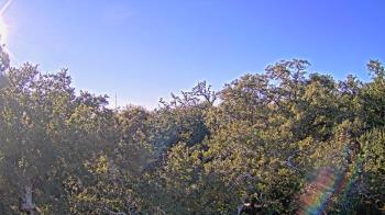 Weather camera view of Metairie Club Gardens.