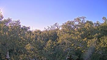 Weather camera view of Metairie Club Gardens.