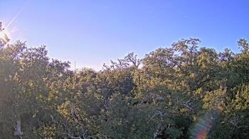 Weather camera view of Metairie Club Gardens.