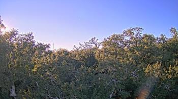 Weather camera view of Metairie Club Gardens.