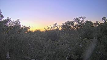 Weather camera view of Metairie Club Gardens.