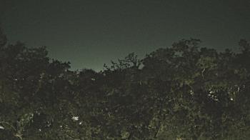 Weather camera view of Metairie Club Gardens.