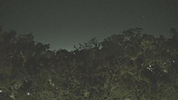 Weather camera view of Metairie Club Gardens.