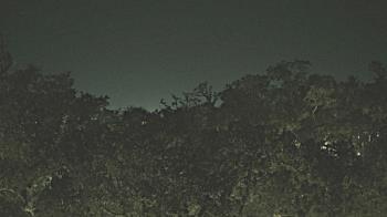 Weather camera view of Metairie Club Gardens.