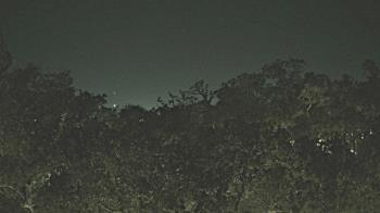 Weather camera view of Metairie Club Gardens.