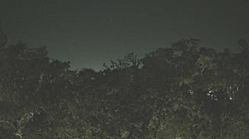 Weather camera view of Metairie Club Gardens.