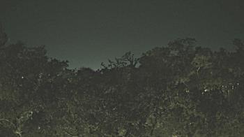 Weather camera view of Metairie Club Gardens.