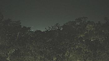 Weather camera view of Metairie Club Gardens.