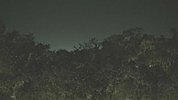 Weather camera view of Metairie Club Gardens.