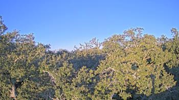 Weather camera view of Metairie Club Gardens.