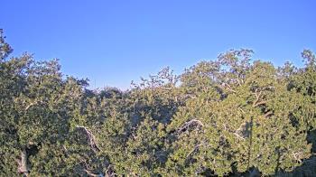 Weather camera view of Metairie Club Gardens.