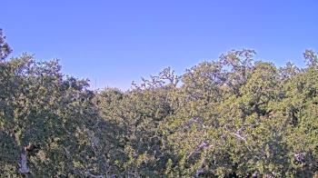 Weather camera view of Metairie Club Gardens.