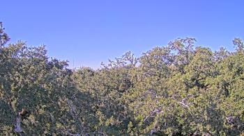 Weather camera view of Metairie Club Gardens.
