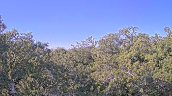 Weather camera view of Metairie Club Gardens.