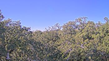 Weather camera view of Metairie Club Gardens.