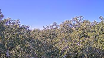 Weather camera view of Metairie Club Gardens.