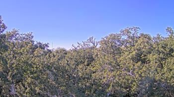 Weather camera view of Metairie Club Gardens.