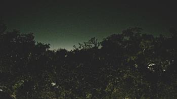 Weather camera view of Metairie Club Gardens.