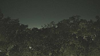 Weather camera view of Metairie Club Gardens.