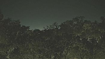 Weather camera view of Metairie Club Gardens.