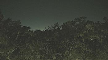 Weather camera view of Metairie Club Gardens.