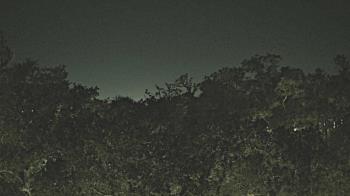 Weather camera view of Metairie Club Gardens.