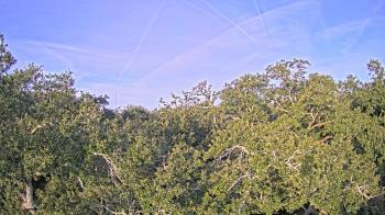 Weather camera view of Metairie Club Gardens.