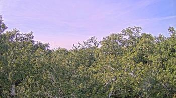 Weather camera view of Metairie Club Gardens.