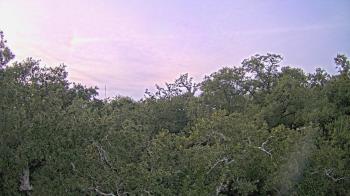 Weather camera view of Metairie Club Gardens.