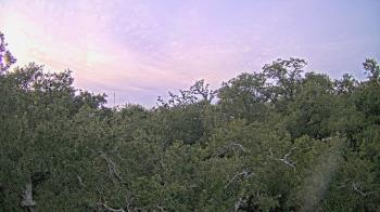 Weather camera view of Metairie Club Gardens.