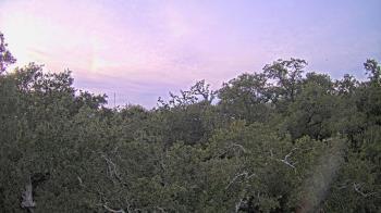 Weather camera view of Metairie Club Gardens.