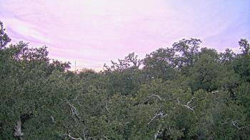 Weather camera view of Metairie Club Gardens.