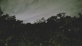 Weather camera view of Metairie Club Gardens.