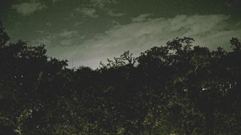 Weather camera view of Metairie Club Gardens.