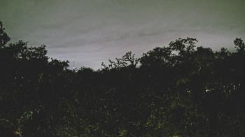 Weather camera view of Metairie Club Gardens.