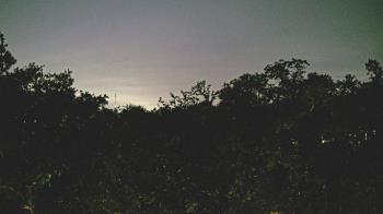 Weather camera view of Metairie Club Gardens.