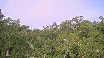 Weather camera view of Metairie Club Gardens.