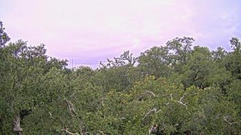 Weather camera view of Metairie Club Gardens.