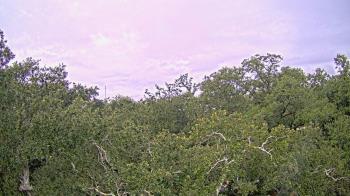 Weather camera view of Metairie Club Gardens.