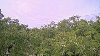 Weather camera view of Metairie Club Gardens.