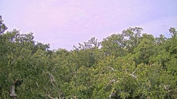Weather camera view of Metairie Club Gardens.