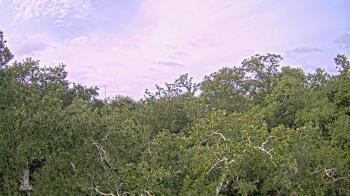 Weather camera view of Metairie Club Gardens.