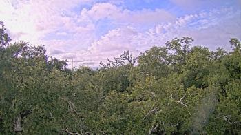 Weather camera view of Metairie Club Gardens.