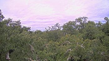 Weather camera view of Metairie Club Gardens.