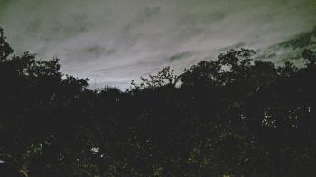 Weather camera view of Metairie Club Gardens.