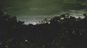 Weather camera view of Metairie Club Gardens.