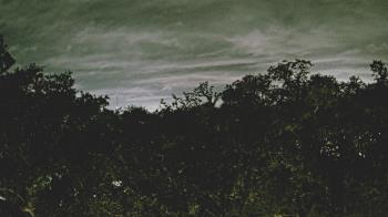 Weather camera view of Metairie Club Gardens.