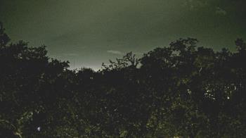 Weather camera view of Metairie Club Gardens.